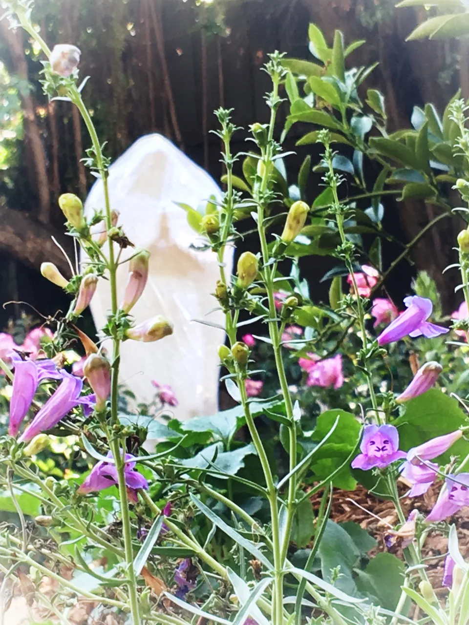 Flowering stems surround a pale sculpture in the courtyard garden.